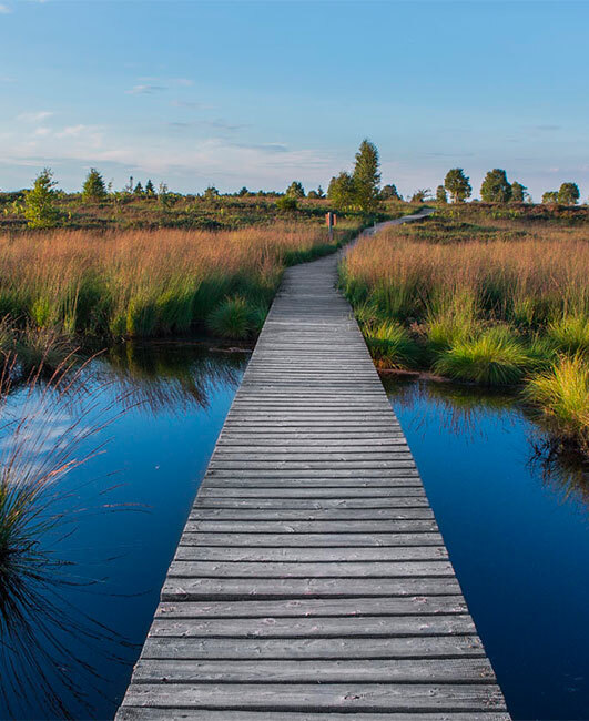 Fachwerkhäuser am Bach